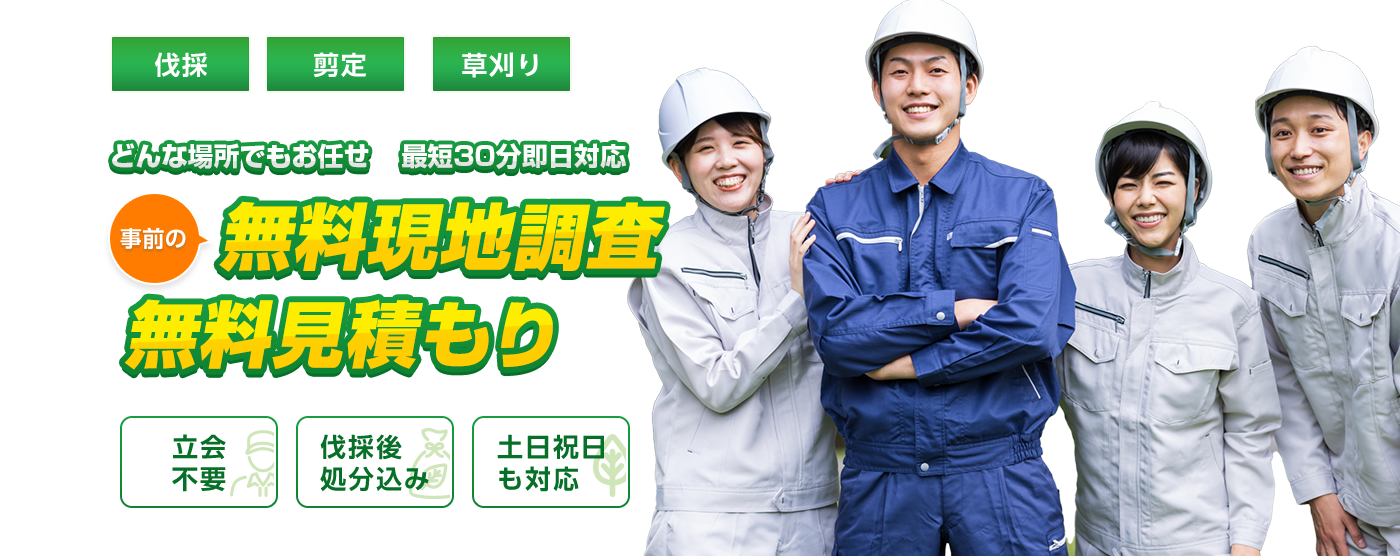 伐採 剪定 草刈り どんな場所でもお任せ 最短30分即日対応 事前の無料現地調査 無料見積もり 立会不要 伐採後処分込み 土日祝日も対応