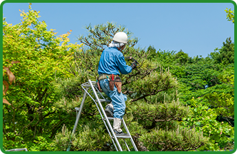 高所作業の様子の写真